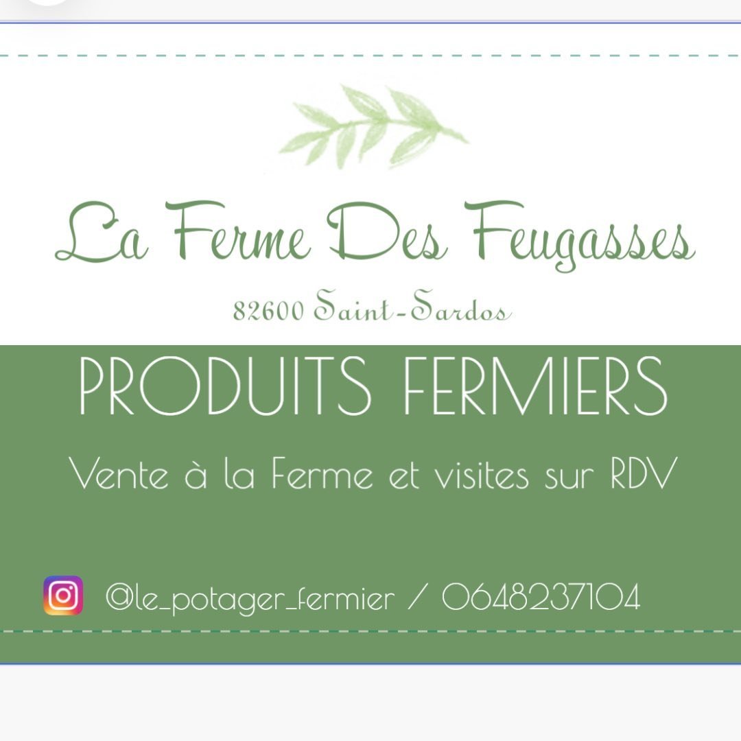 Éleveuse laitière et productrice transformatrice fromagère, Comberouger, Gaec de l’Elanion