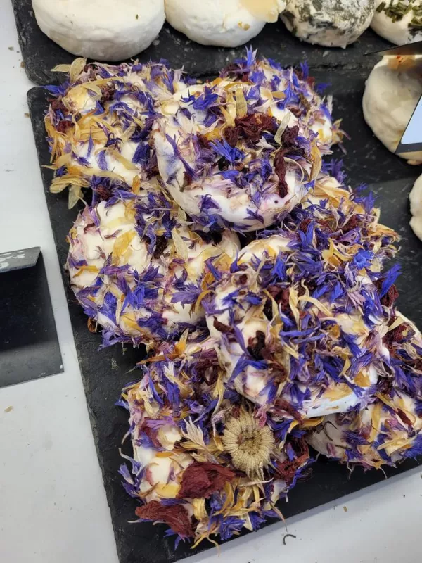 Production de fromages, Comberouger, Gaec de l’Elanion