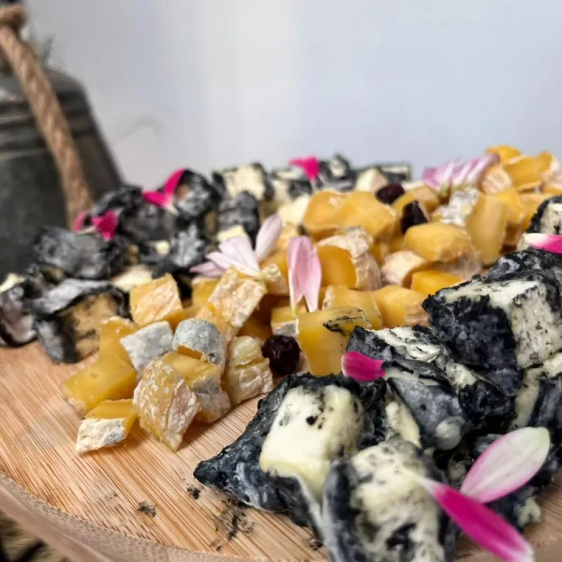Production de fromages, Comberouger, Gaec de l’Elanion